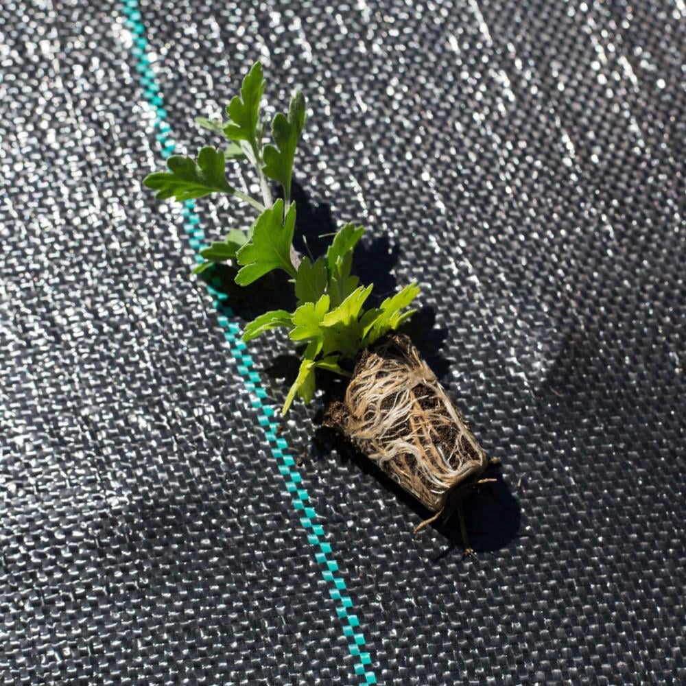 Агротканина 60 г/м² Bonro 1,6x50 м Чорний (42401161)