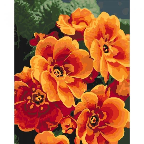 Набор для росписи по номерам Идейка Примула оранжевая 40х50 см (КНО3050-mt)