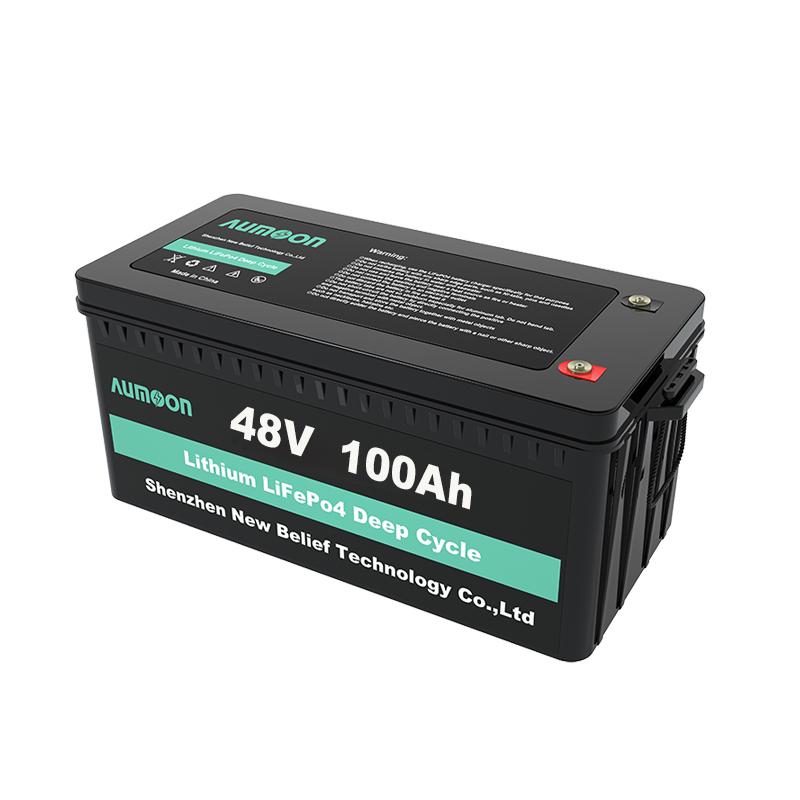 Аккумуляторная батарея ENERSUN LiFEPO4 48V 100 Ah Аккумуляторная батарея ENERSUN LiFEPO4 48V 100 Ah