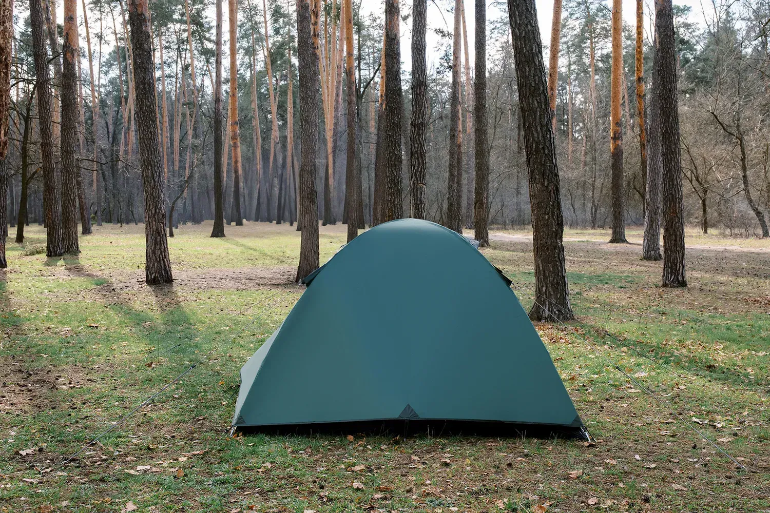 Палатка Totem Carriage 3 на 3 человека двухслойная с большим тамбуром (UTTT-016) - фото 3 Палатка Totem Carriage 3 на 3 человека двухслойная с большим тамбуром (UTTT-016) - фото 3