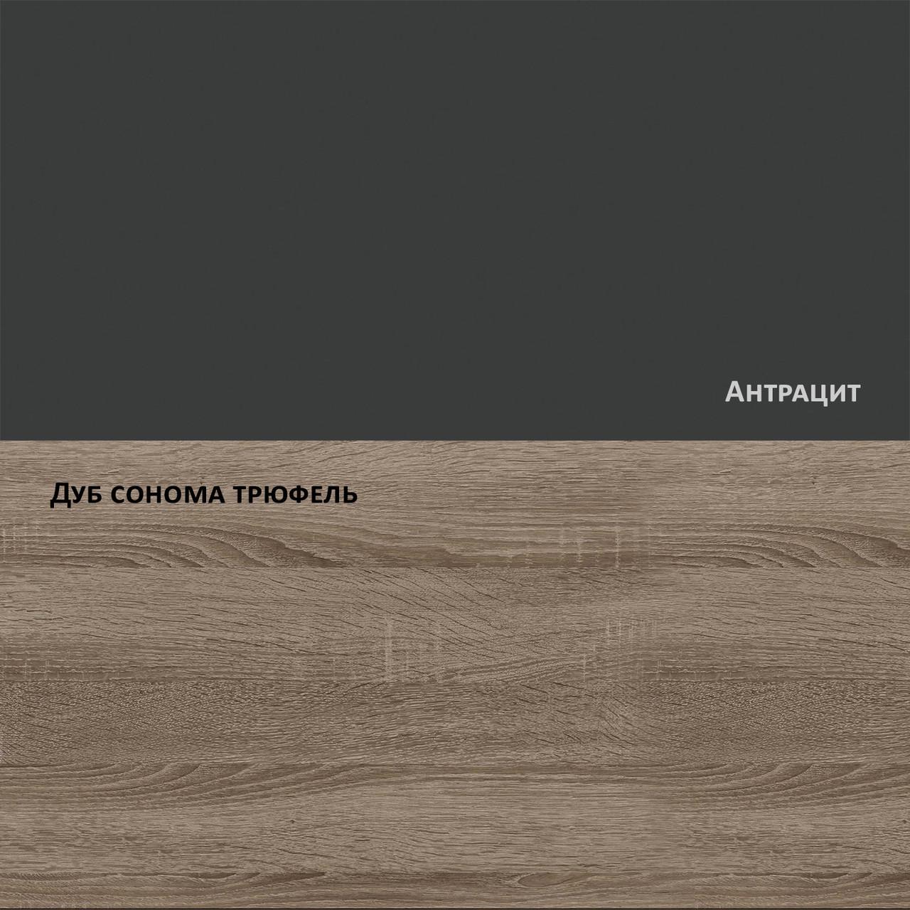 Компьютерный стол Intarsio Connect 2 Дуб сонома трюфель/Антрацит - фото 8 Компьютерный стол Intarsio Connect 2 Дуб сонома трюфель/Антрацит - фото 8