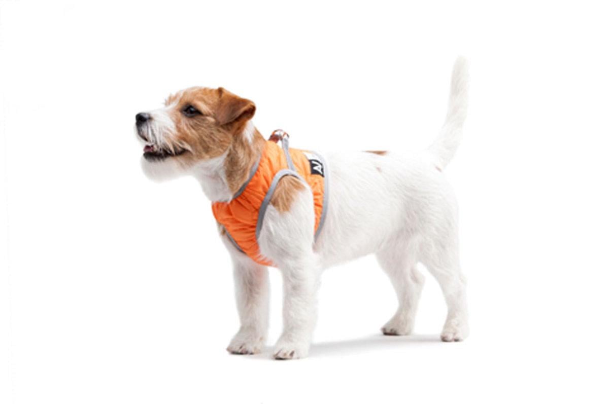 Шлея м'який AiryVest ONE S2 Помаранчевий - фото 5 Шлея м'який AiryVest ONE S2 Помаранчевий - фото 5