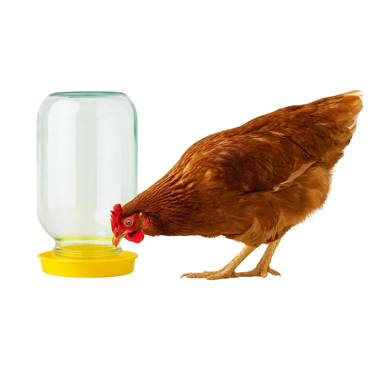 Поїлка для птиці Жовтий (87704) - фото 3 Поїлка для птиці Жовтий (87704) - фото 3