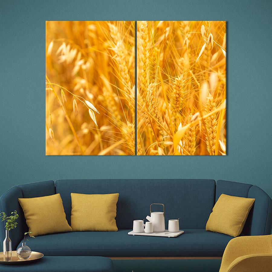 Картина Золото полей пшеница 165x122 см (2014-2)
