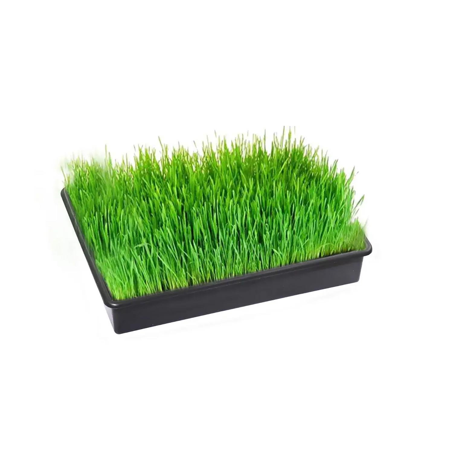 Лоток для розсади 9 л 40х26х8,5 см - фото 8 Лоток для розсади 9 л 40х26х8,5 см - фото 8