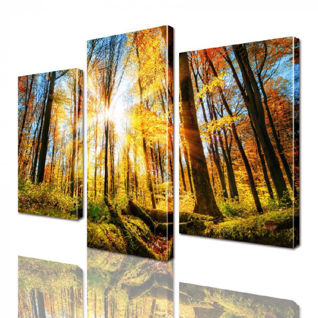 Картина модульная 3 части ArtStar Осенний лес 120х180 см ADNA0026