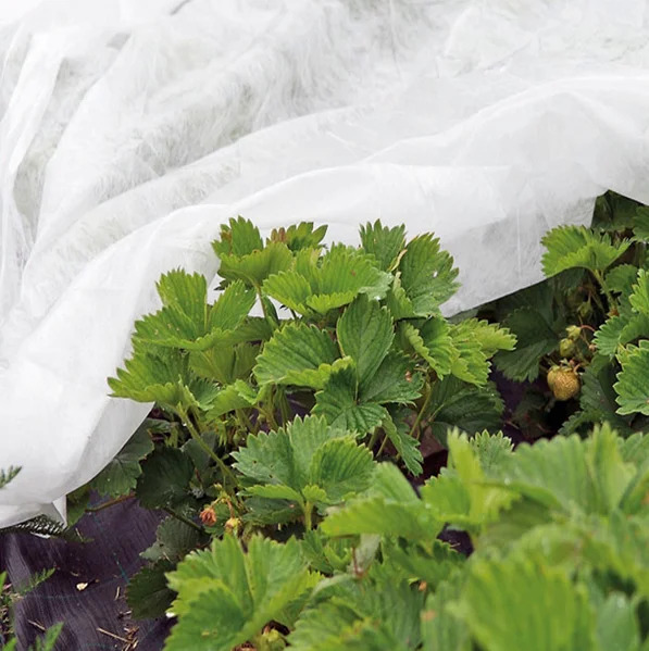 Агроволокно укрывное Love&Home17 г/м2 1,6х10 м в пакетах (2AG17_1610) - фото 8 Агроволокно укрывное Love&Home17 г/м2 1,6х10 м в пакетах (2AG17_1610) - фото 8