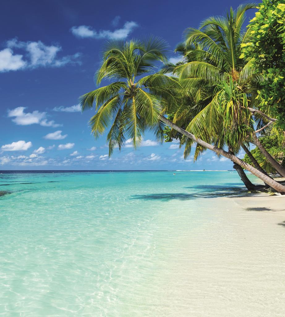 Фотообои флизелиновые 3D Море 225х250 см DIMEX Райский пляж (MS-3-0215)