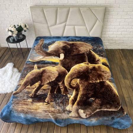 Покрывало плюшевое велюровое Слоны евро 200х240 см (П4К-al-cap-pled-0014)