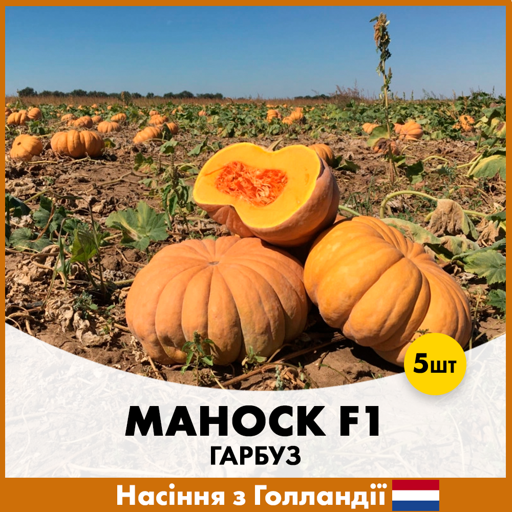 Семена тыквы Enza Zaden Маноск F1 5 шт. (R30333)