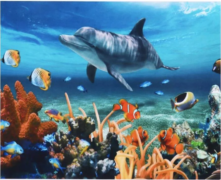 Алмазна мозаїка за номерами Josef Otten Дельфін 60765 30x40 см (MTT-178073)