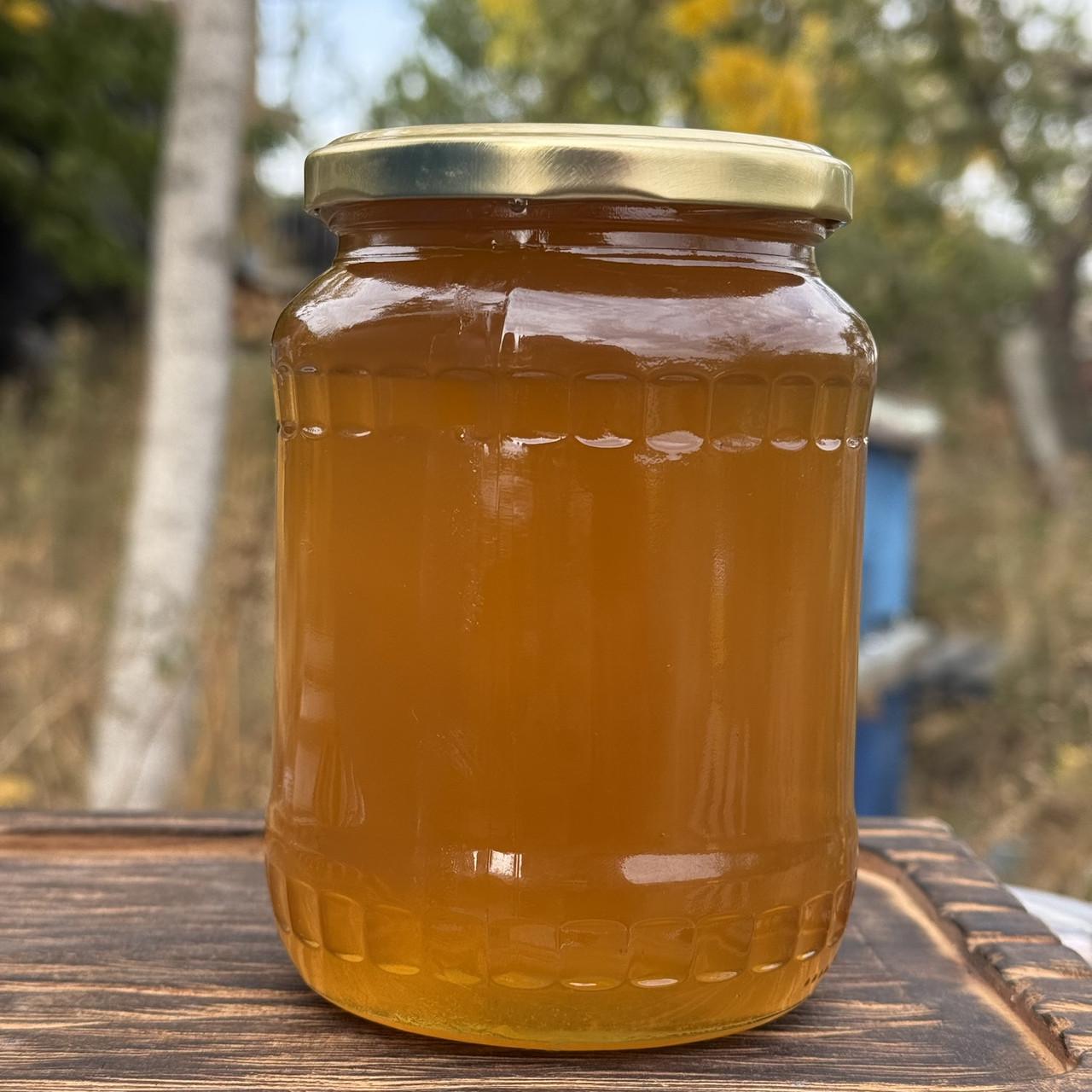 Мед Луговое разнотравье из стационарной пасеки 0,7 л/950 г 2025 г. (2784992327)