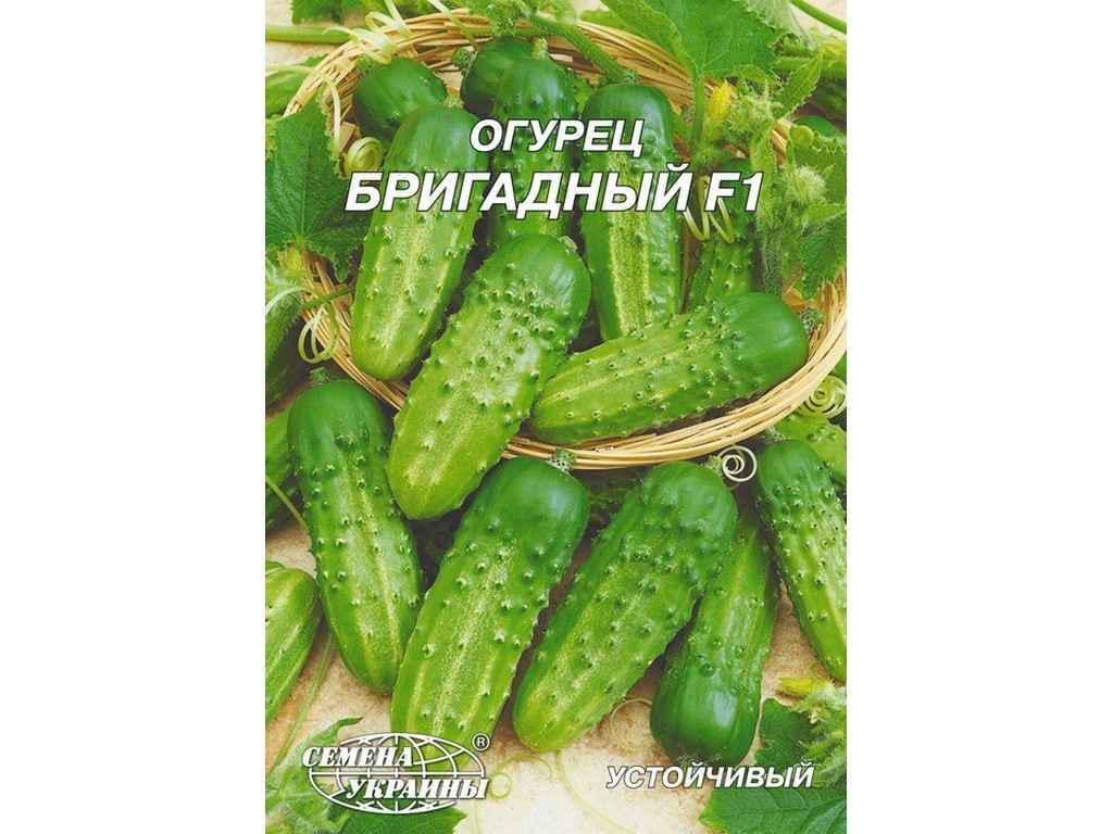 Семена Огурец Насіння України Гигант F1 4 г 10 пачек (72297) Семена Огурец Насіння України Гигант F1 4 г 10 пачек (72297)