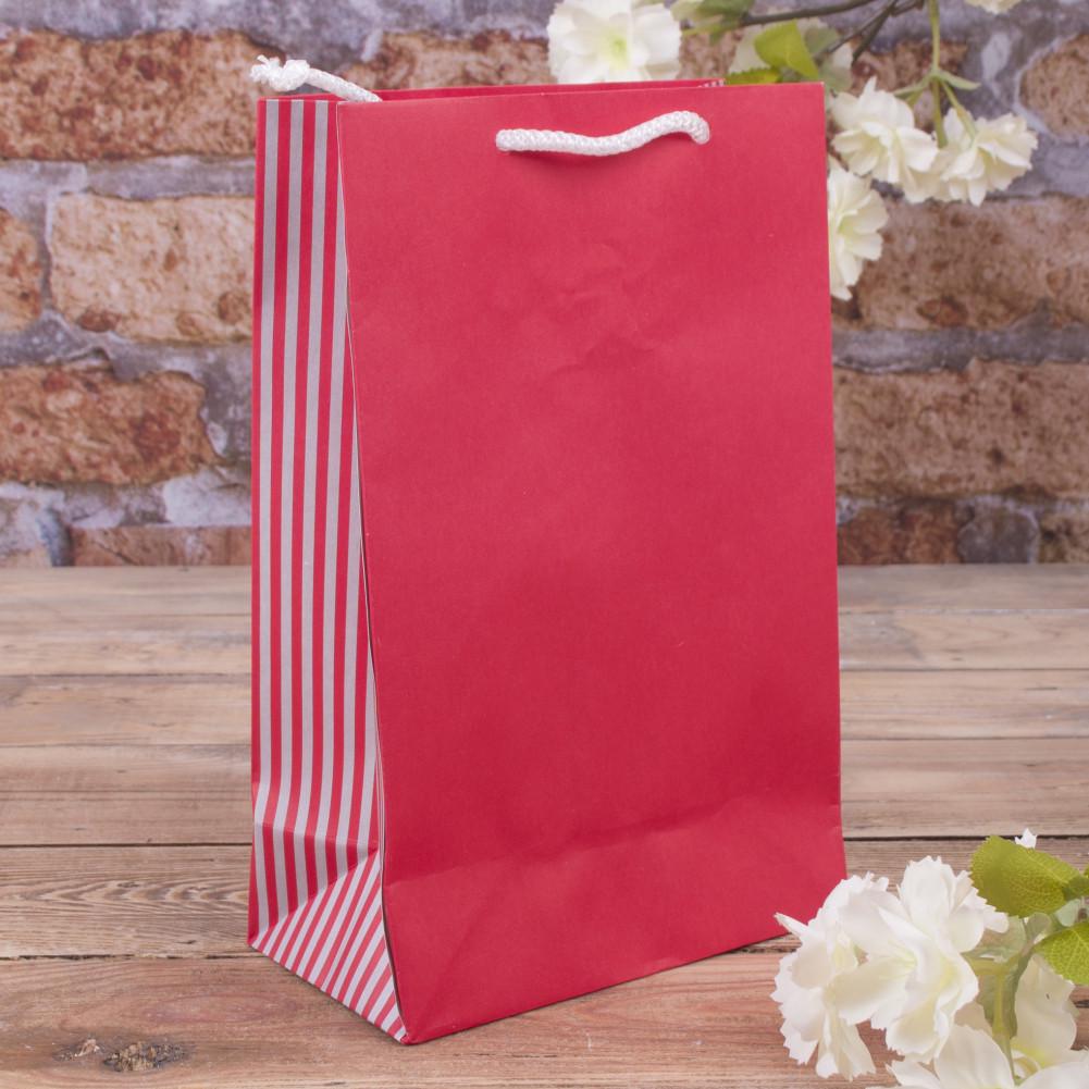 Пакет TMK 23x15x8 см Красный (1446-tmk-113)