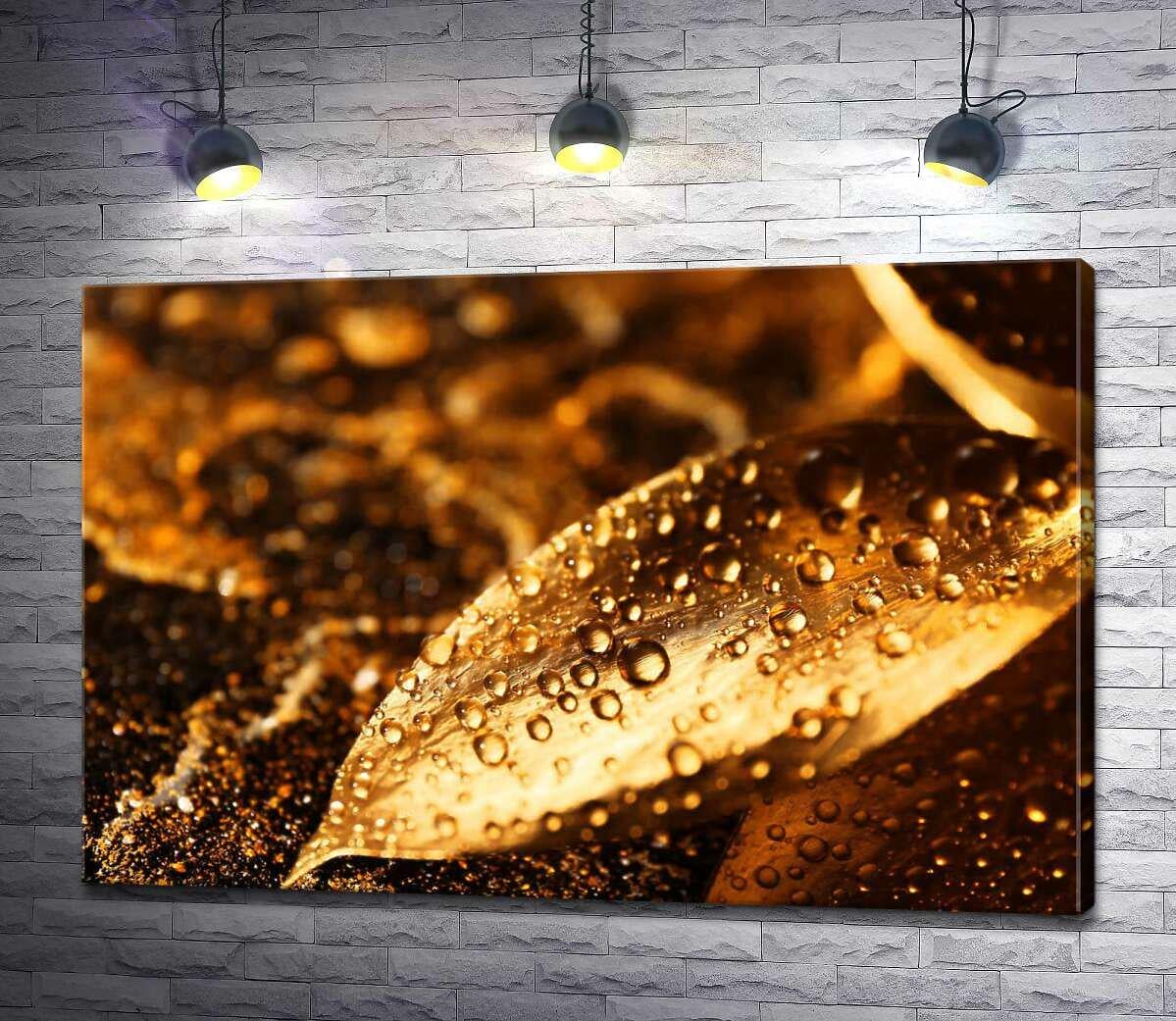 Картина ArtPoster Золотые листья, омытые росой 100x67 см Модуль №1 (002464) Картина ArtPoster Золотые листья, омытые росой 100x67 см Модуль №1 (002464)