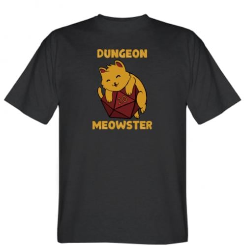 Футболка чоловіча Dungeon Meowster XS Чорний (4264611-2-107321-XS)
