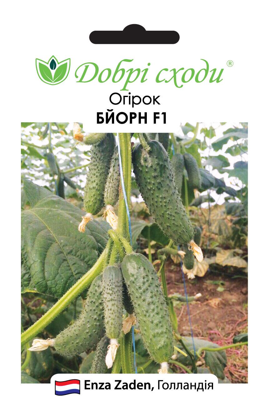 Насіння огірок Бйорн F1 Добрі Сходи 100 шт. (01010153)