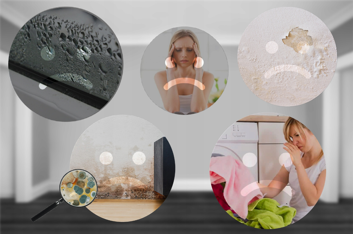 Осушитель воздуха Maltec DH-2200 (1871285082) - фото 9 Осушитель воздуха Maltec DH-2200 (1871285082) - фото 9