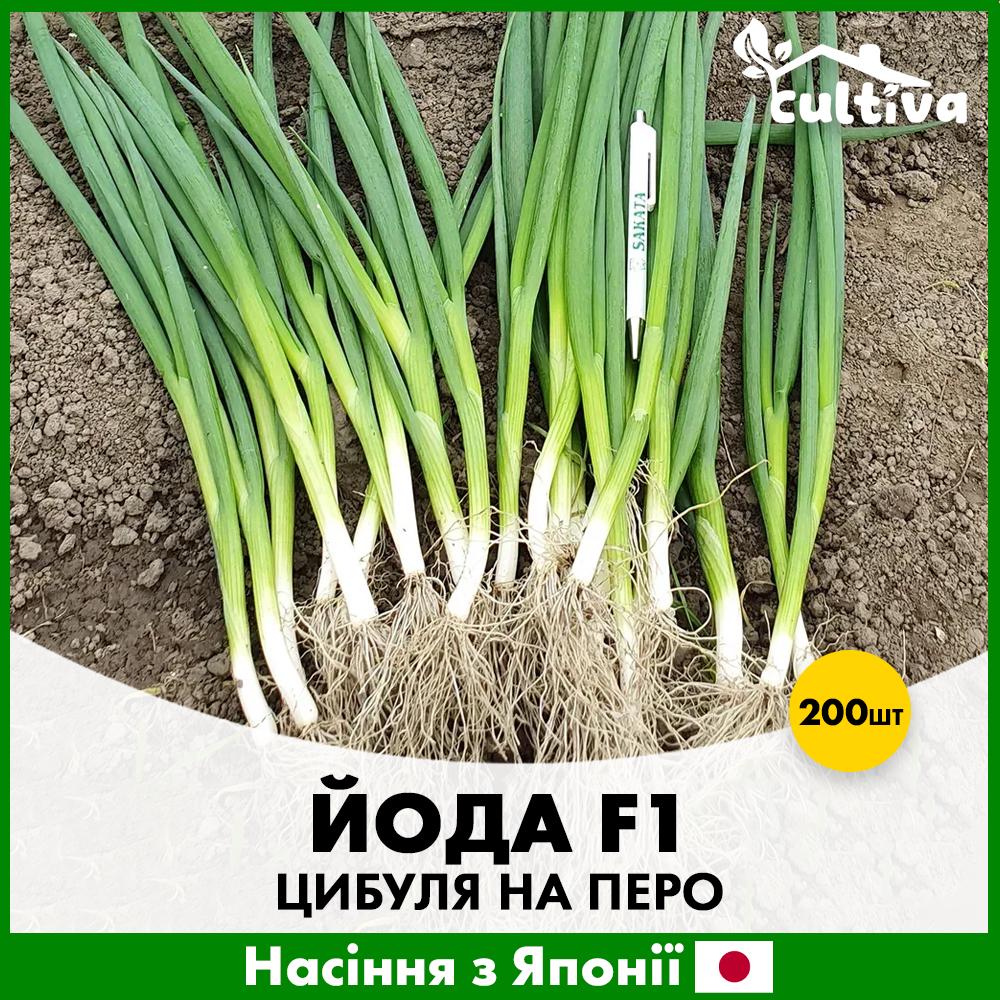 Семена лука на перо Sakata Йода F1 200 шт. (R51214)