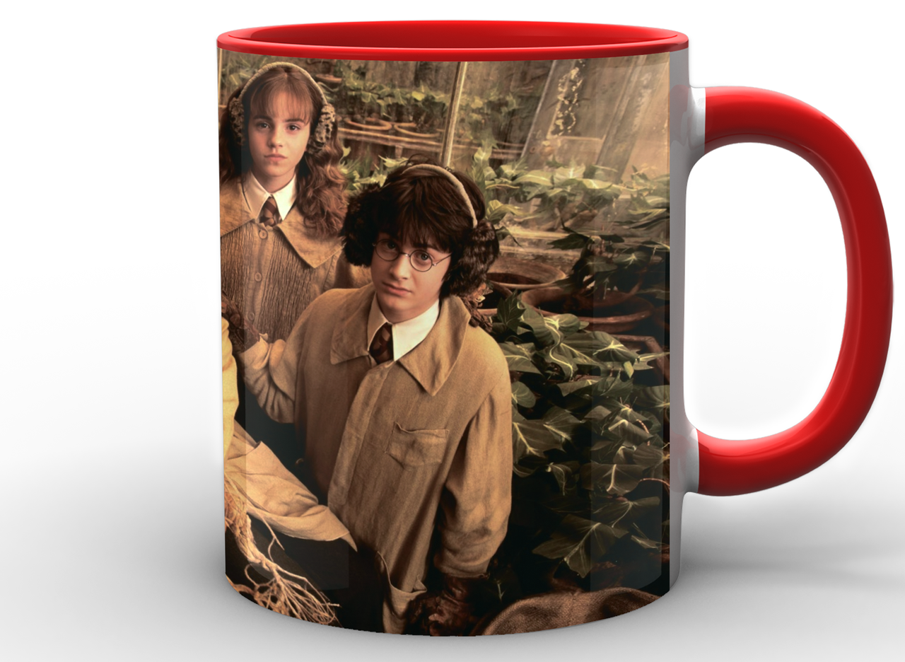 Чашка GeekLand Harry Potter урок Гербологии (HP.02.034)