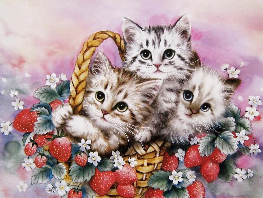 Красивые картинки кошек и котят