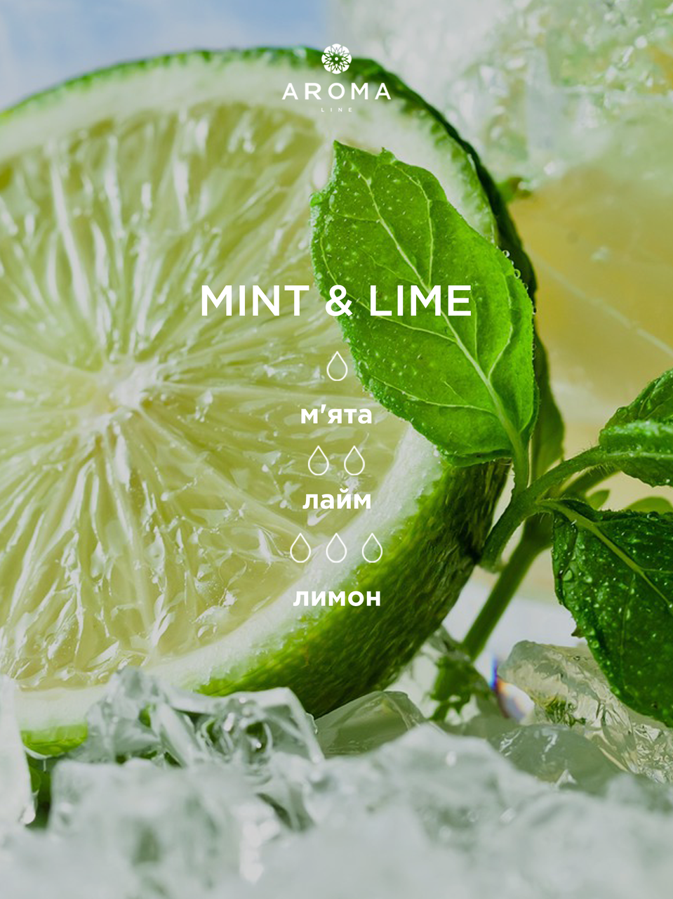 Аромат/отдушка для изготовления мыла и косметики Mint&Lime 500 г - фото 2