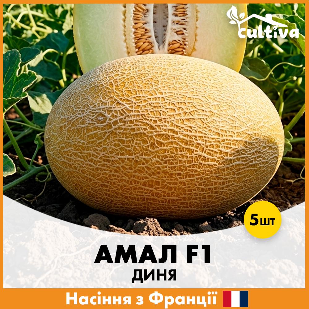 Семена дыни Clause Амал F1 5 шт. (R51202)