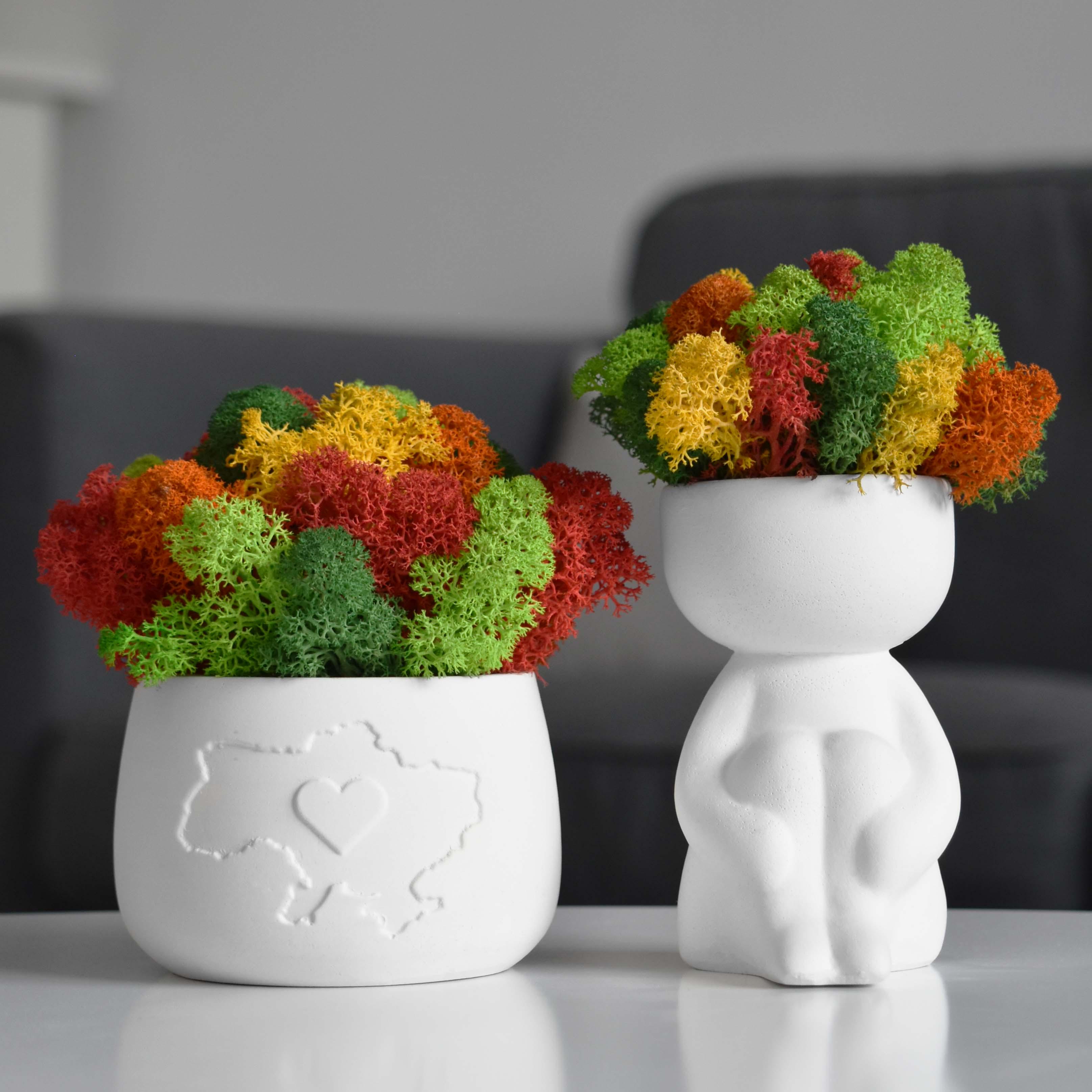 Набор кашпо HandMade Мальчик и Украина со стабилизированным мхом Ягель из бетона 2 шт. Белый/Разноцветный (14686030)