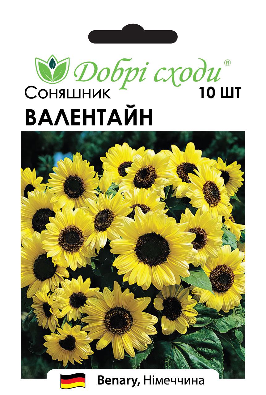 Семена подсолнечник Валентайн Valentine Benary Добрі сходи 10 шт. (03210001)