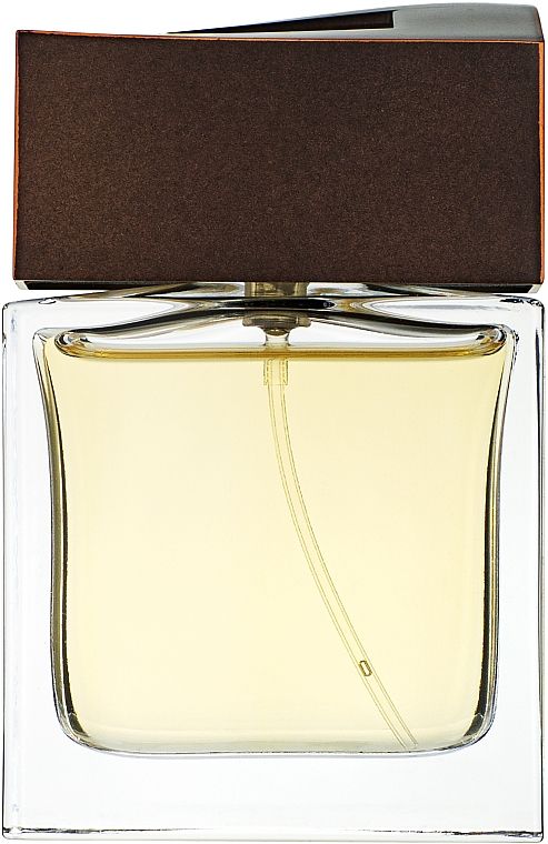 Парфюмированная вода Brioni Brioni 100 мл (2435_9020)