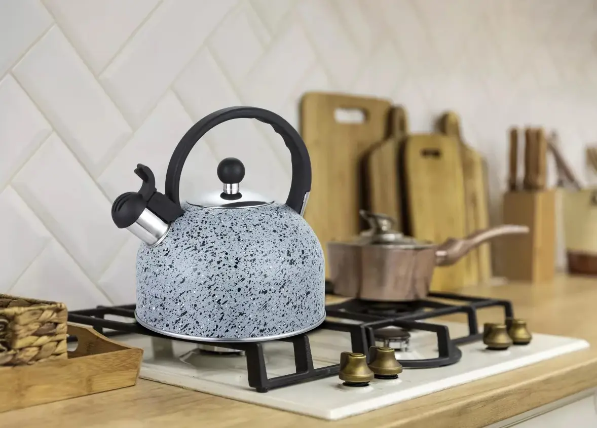 Чайник со свистком Gusto Геракл GT-1414-25 2,5 л (8-6-4624948)