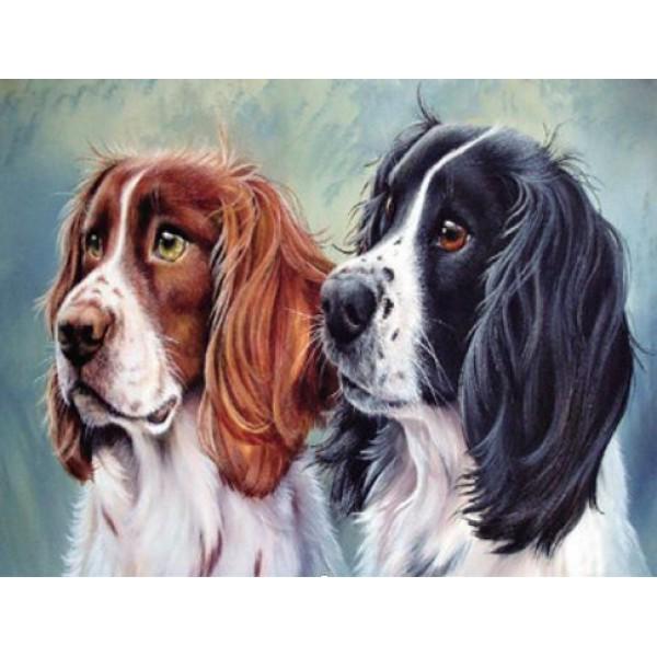 Картина по номерам Josef Otten Животные Собачки 40х50 см в термопакете (3187RA_O-mt)
