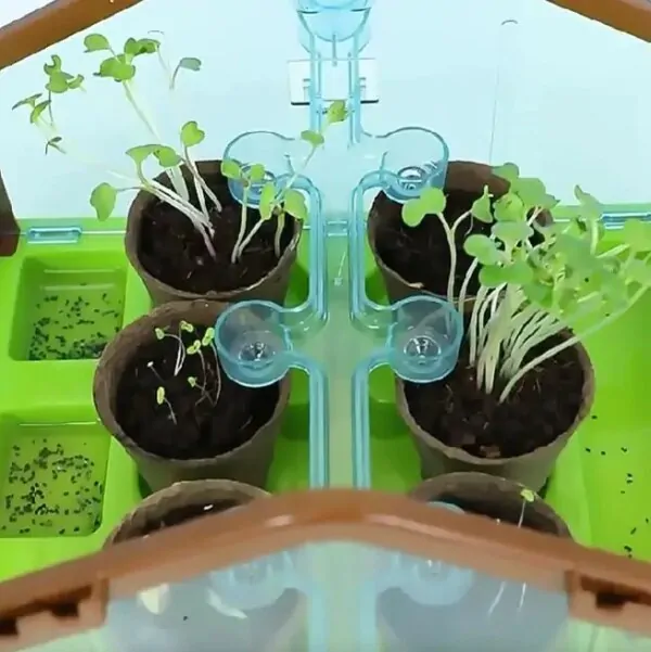 Набор для выращивания растений для детей с семенами Домашняя теплица (HM66) - фото 4