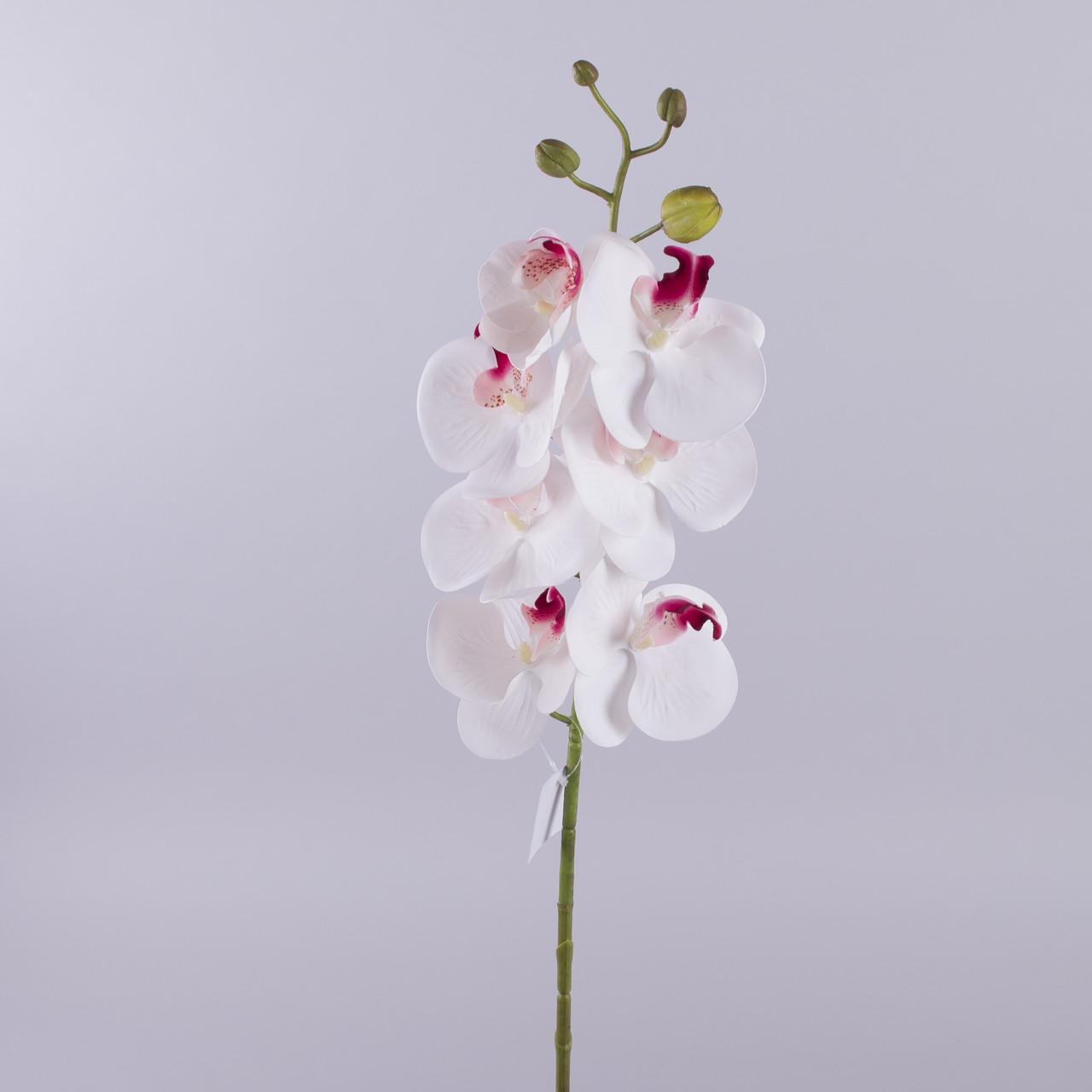 Орхидея латексная микс Белый (3849-3)