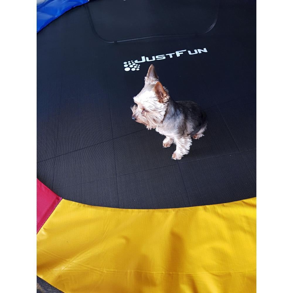 Батут Just Fun зовнішня сітка і драбинка 252 см Multicolor - фото 9 Батут Just Fun зовнішня сітка і драбинка 252 см Multicolor - фото 9