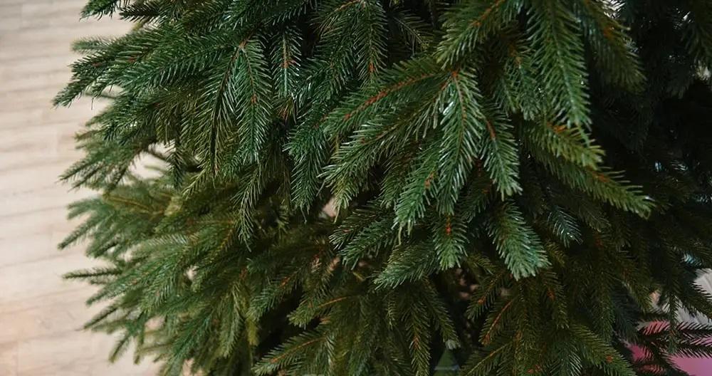 Искусственная елка литая Ель 1,8 м (12901693) - фото 4 Искусственная елка литая Ель 1,8 м (12901693) - фото 4