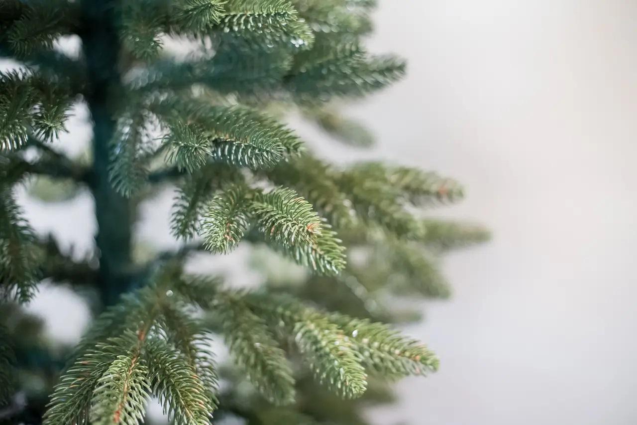 Искусственная елка литая Вип Роял 2,1 м - фото 4 Искусственная елка литая Вип Роял 2,1 м - фото 4