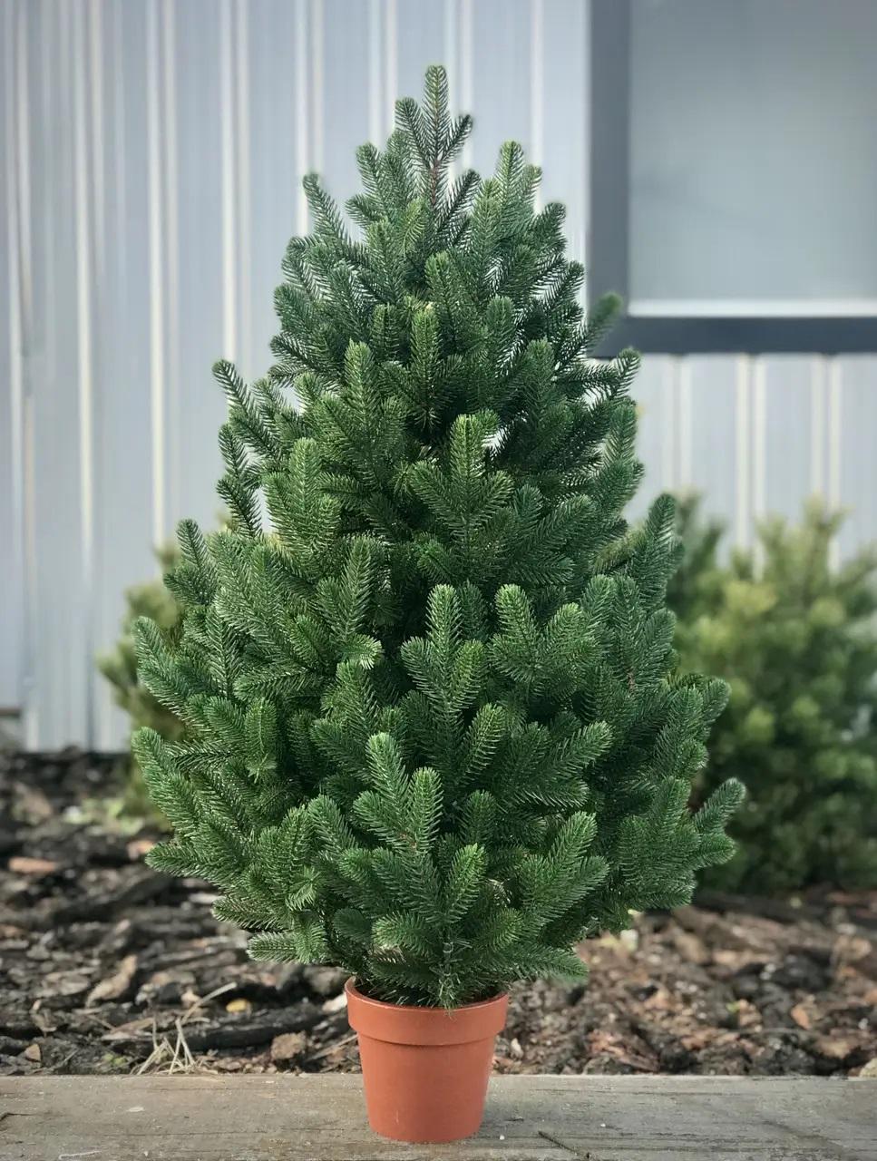 Елка литая HVOYA Traditional в горшке 90 см Зеленый (215N/90/G) - фото 5 Елка литая HVOYA Traditional в горшке 90 см Зеленый (215N/90/G) - фото 5