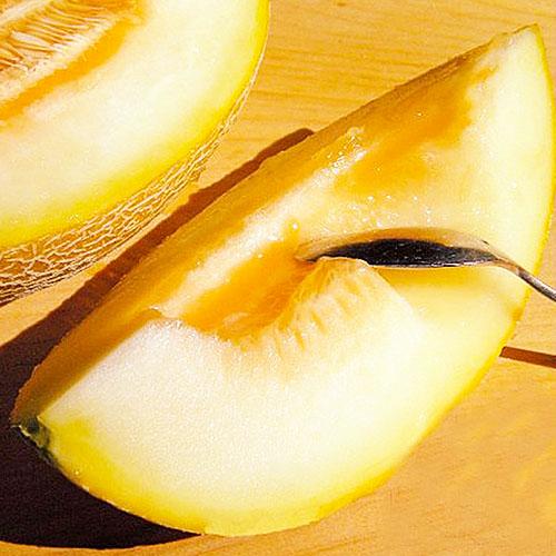 Насіння Диня Florium Світ Ананас (6260)