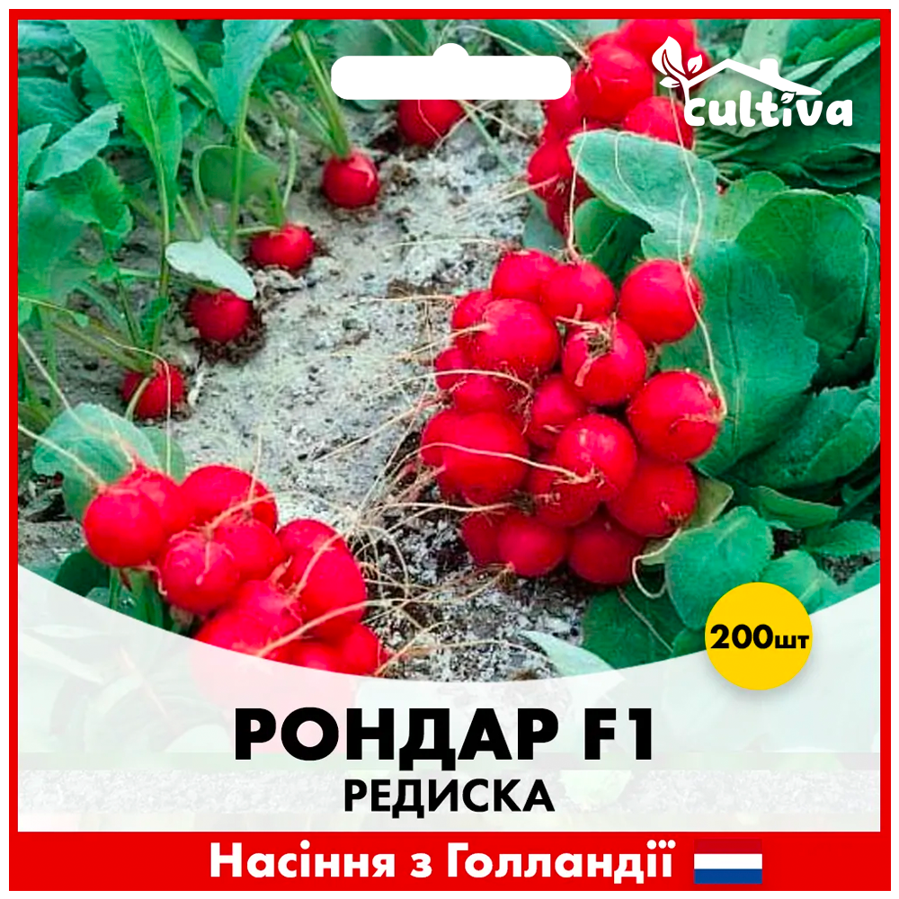 Семена редиса Syngenta Рондар F1 200 шт. (00200)