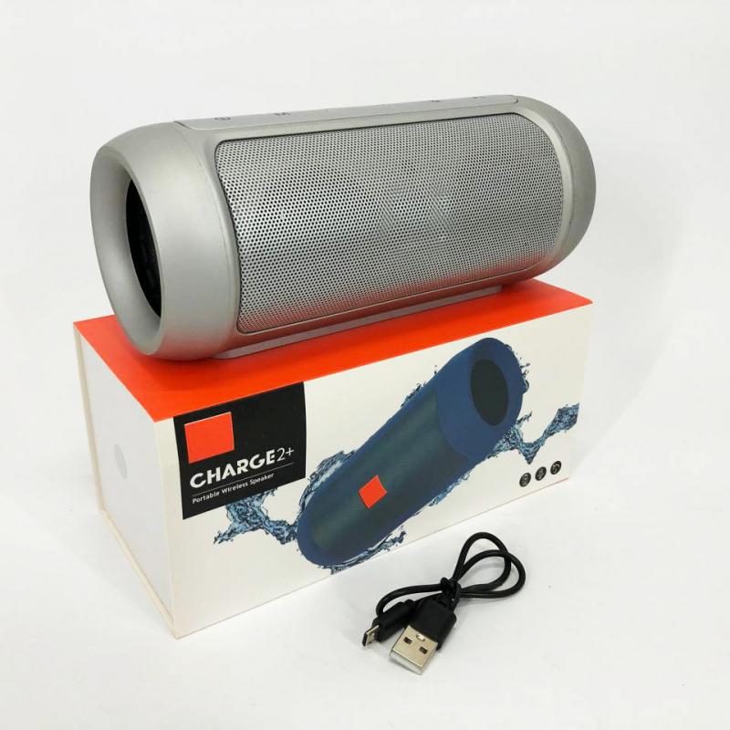 Колонка Charge J2 Silver (tf5134) - фото 9
