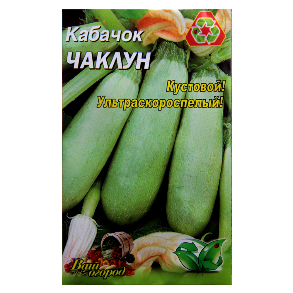 Насіння кабачка Чаклун ультраскоростиглий кущовий 10 г (22987)