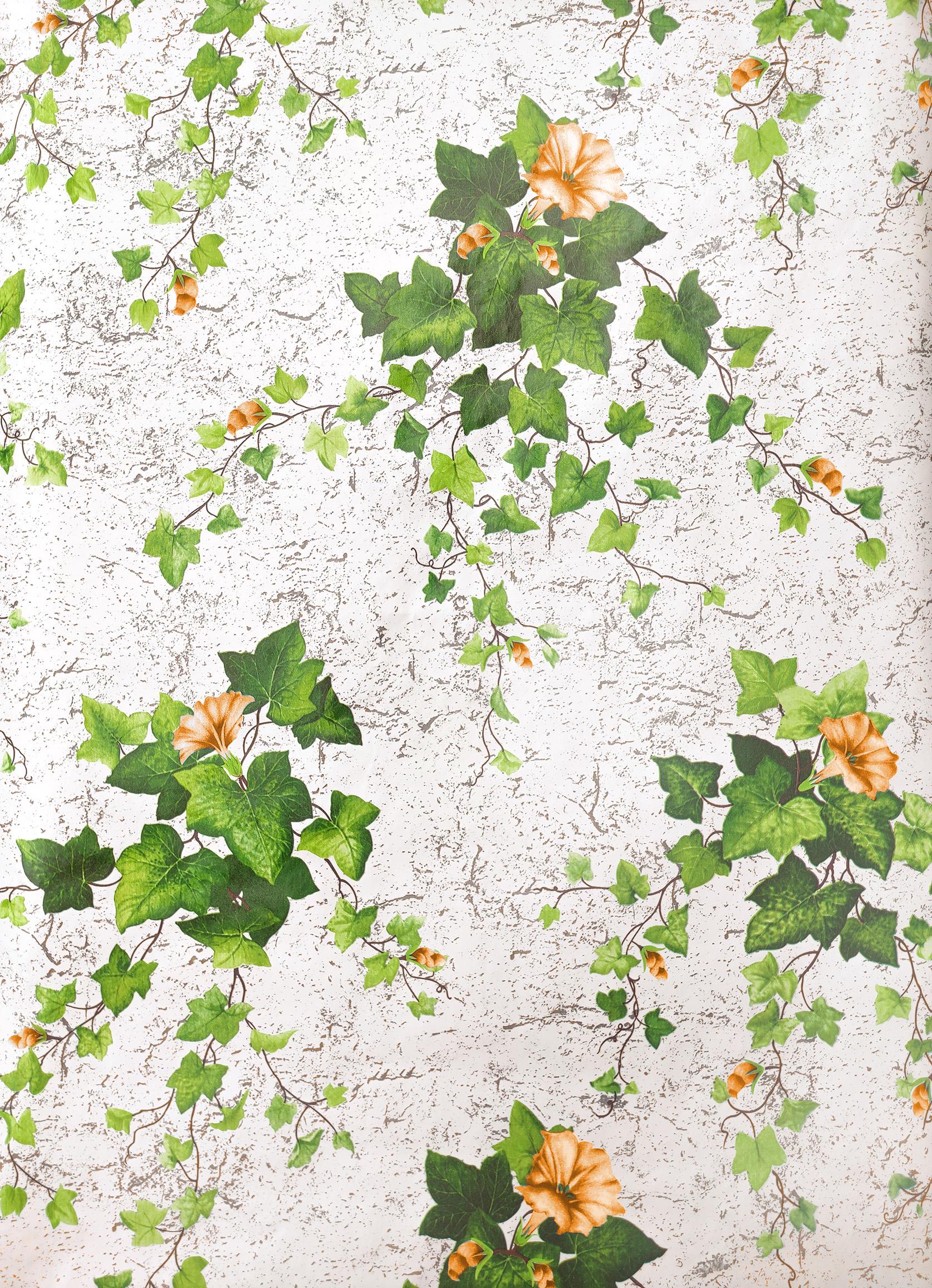 Обои бумажные влагостойкие Шарм Плющ (09-01) - фото 2 Обои бумажные влагостойкие Шарм Плющ (09-01) - фото 2
