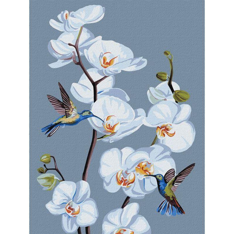 Картина по номерам Идейка Цветущие орхидеи 30х40 см (KHO3241)