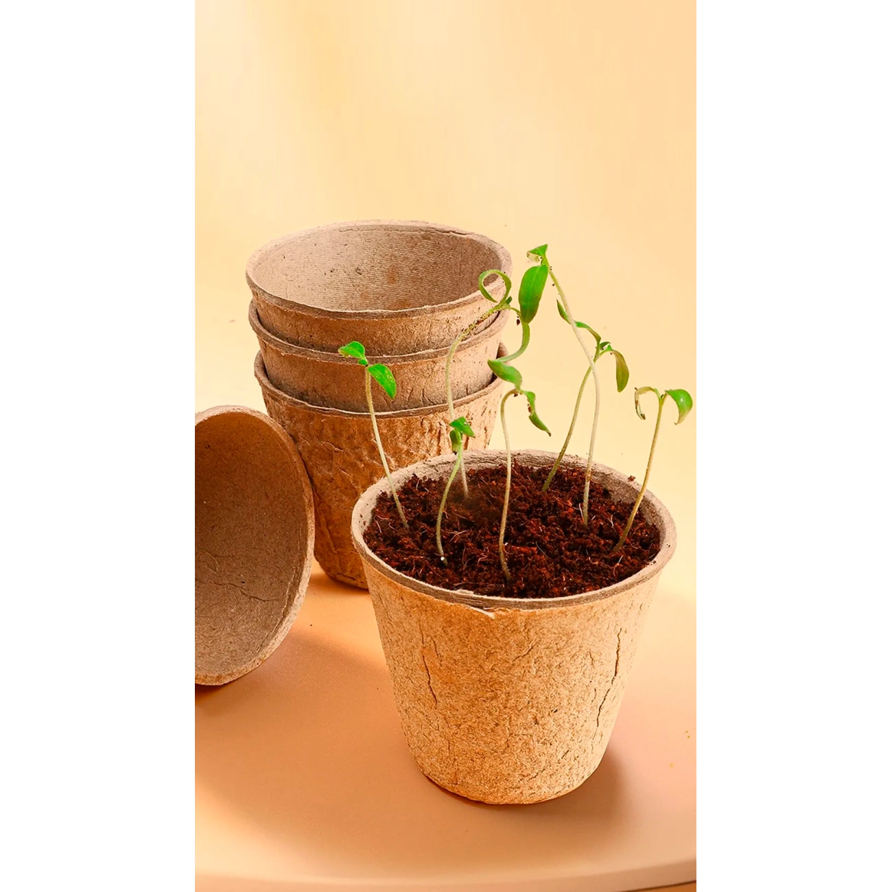 Комплект для садоводства двухэтажный с автополивом - фото 6