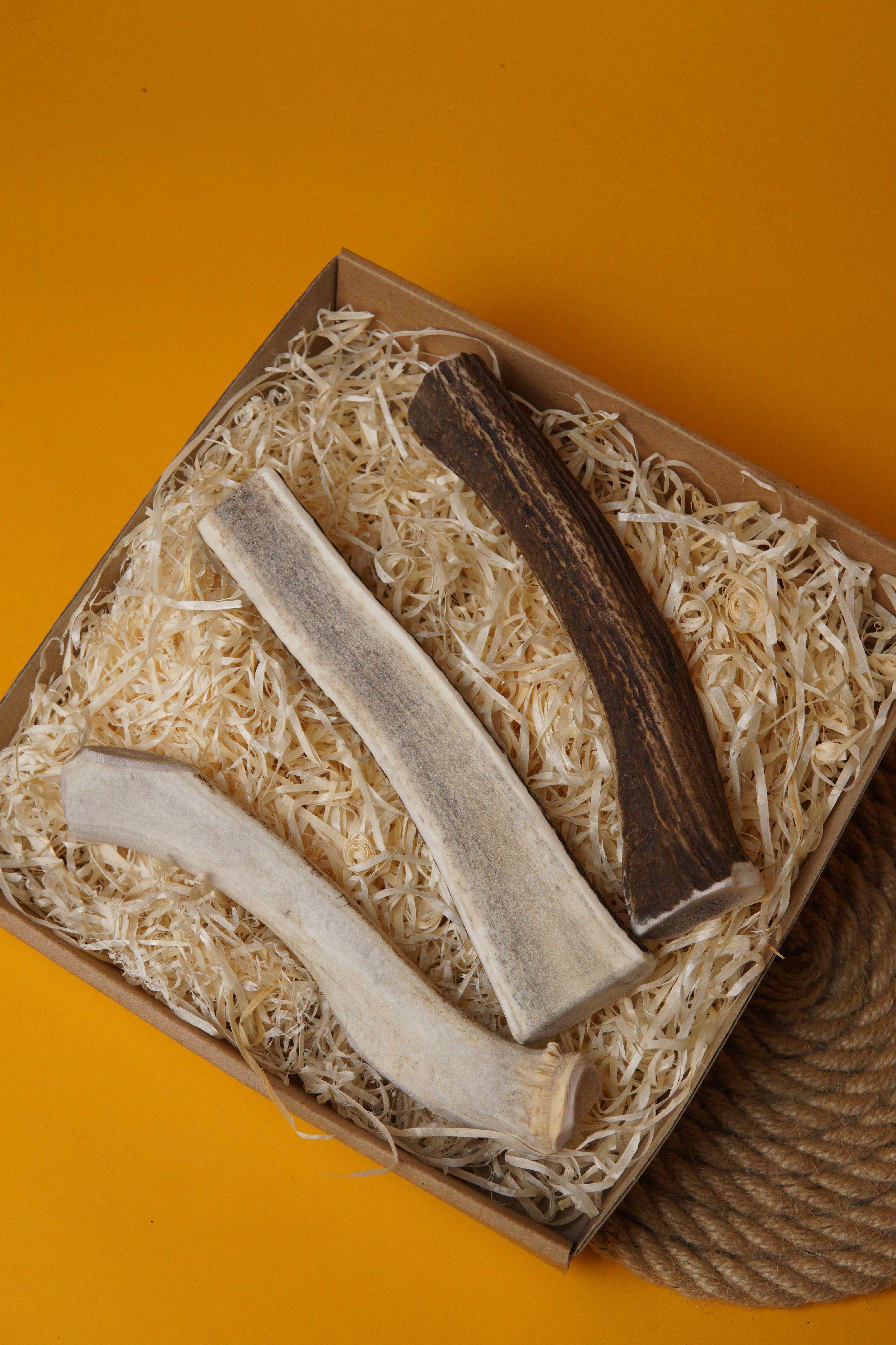 Сплит из рога оленя DogsRogs S 10 см (SplitS) - фото 5 Сплит из рога оленя DogsRogs S 10 см (SplitS) - фото 5