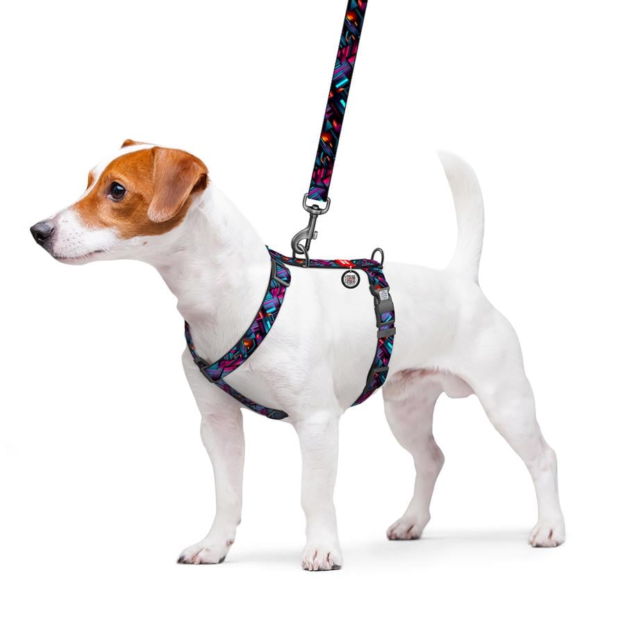 Шлейка для собак с QR-паспортом WAUDOG Nylon Бесконечные миры пластиковый фастекс L 25 мм A 51-85 см/B 61-85 см Blue (345-4058) - фото 3 Шлейка для собак с QR-паспортом WAUDOG Nylon Бесконечные миры пластиковый фастекс L 25 мм A 51-85 см/B 61-85 см Blue (345-4058) - фото 3