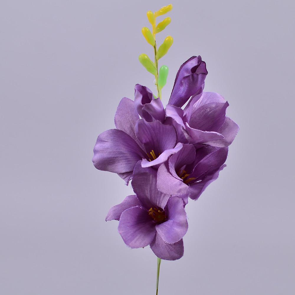 Фрезия короткая фиолетовая