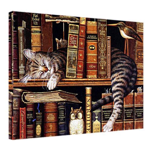 Картина на полотні Кіт і книги 45х65 см (H4565_ZVR001)