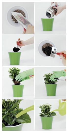 Горшок для цветов ARTE 0,6 л Зеленый/Золотой/Белый - фото 7 Горшок для цветов ARTE 0,6 л Зеленый/Золотой/Белый - фото 7